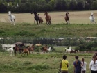 2011-07-08 depart au pre des poneys